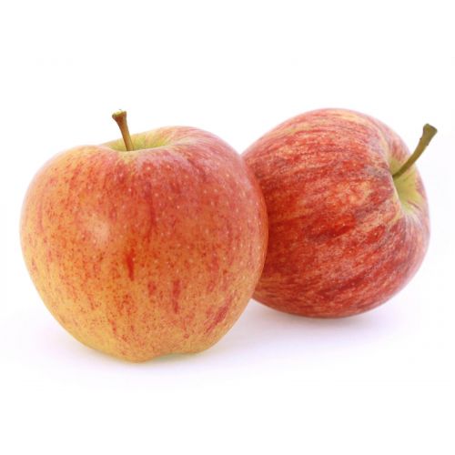 Fresh Gala Apple (1 Piece)