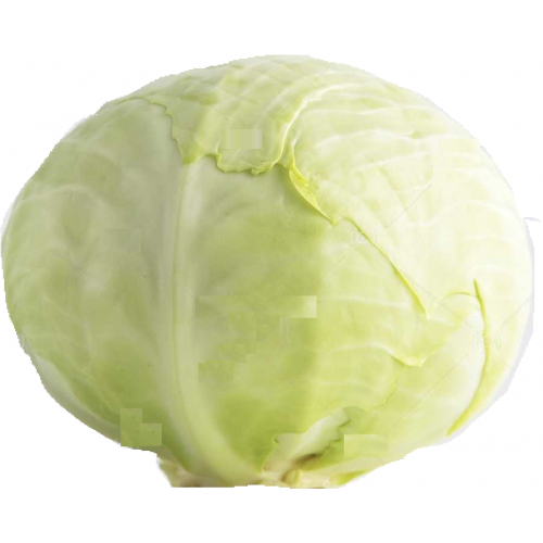 Fresh White Cabbage (1 Piece)
