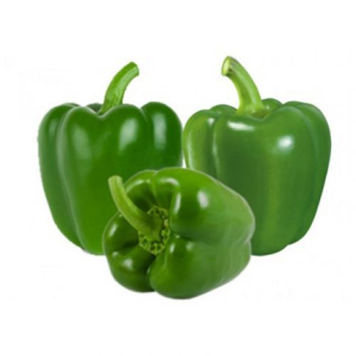 Fresh Green Capsicum (Green Pepper) (1 Piece)