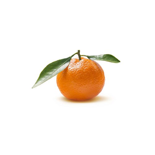 Fresh Orange Clementine (1 Piece)