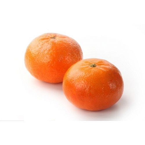 Fresh Nardicot Orange (1 Piece)