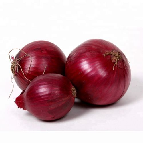 Fresh Red Onion 200g