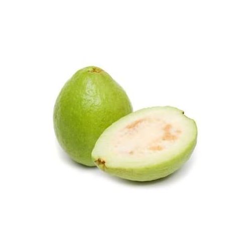 Fresh Guava (1 Piece)