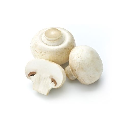 Fresh Mushroom 100g